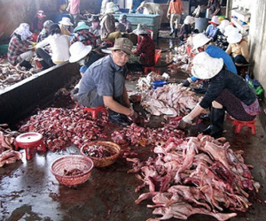 Kinh doanh thực phẩm bẩn có thể bị phạt đến 200 triệu đồng