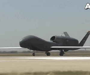 [Infographic] "Ác điểu" RQ-4 Global Hawk không thể bắn hạ Mỹ trên bán đảo Triều Tiên