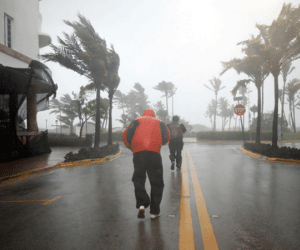 Siêu bão Irma vừa đến, Florida đã ghi nhận thương vong