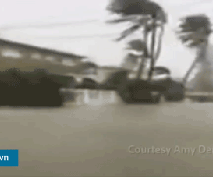 Video: Florida "bầm dập" trước siêu bão Irma