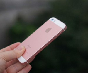 Quên iPhone X đi, smartphone Apple tốt nhất có giá chỉ 350 USD