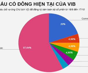 Vợ chủ tịch VIB muốn chi hàng trăm tỷ mua cổ phiếu