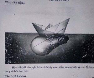 Đề thi chọn đội tuyển học sinh giỏi Văn quốc gia gây tranh cãi