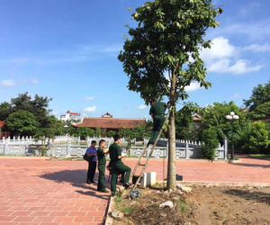 Hải Dương: Phát hiện thanh niên treo cổ tự tử trên cây
