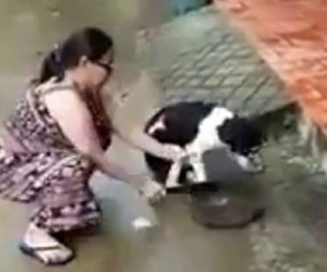 Clip nóng nhất ngày: Phẫn nộ người phụ nữ dùng dao chặt chân chú chó dã man