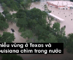 Video: Đại Tây Dương và mùa mưa bão kinh hoàng năm 2017
