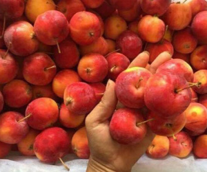5 loại táo Tàu đang bán đầy chợ Việt, chị em dễ nhầm lẫn