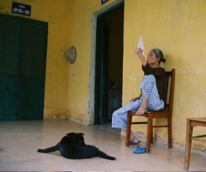 Ảnh minh họa