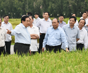 "Hội nghị Diên Hồng" bàn quyết sách cho Đồng bằng sông Cửu Long