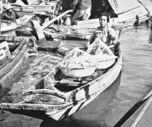Ảnh hiếm về Hong Kong thập niên 1950 qua ống kính nhà tài phiệt