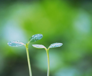 Thứ Sáu của bạn (29/9): Cự Giải được mọi người tôn trọng