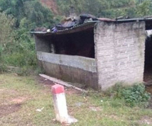 Trộm cả đàn trâu trong đêm