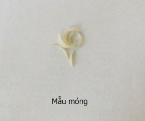 Kết quả xét nghiệm ADN và cái giá "một tỷ đô" khiến khách sững sờ