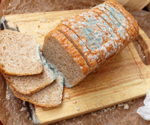 Có những thực phẩm bị mốc vẫn ăn được ngon lành, không hại sức khỏe