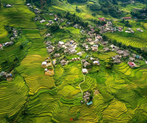 Cảnh sắc như tranh của Sa Pa mùa lúa chín
