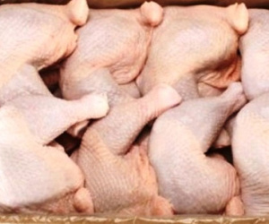Thịt gà 2.000 đồng/kg đổ về: Truy tìm kẻ nhập khẩu bỏ trốn