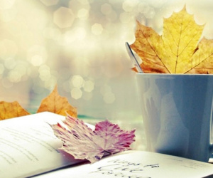 Tử vi mới nhất Thứ Bảy ngày 7/10/2017 của 12 con giáp cực chuẩn, cực hấp dẫn