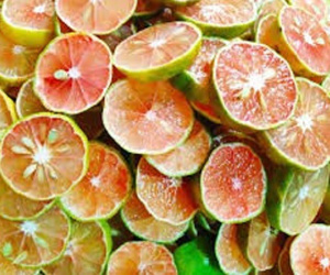 Giảm từ 50.000 đồng xuống 3.000 đồng/kg, chanh đào "mua về cho cả nhà tắm"!
