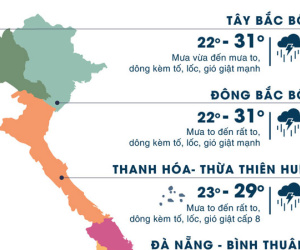 Áp thấp nhiệt đới khiến Bắc Trung Bộ mưa 300 mm, gió giật mạnh cấp 9