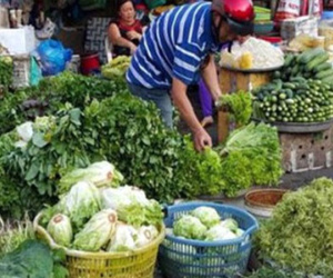 Rau xanh chợ Hà Nội tăng giá gấp rưỡi