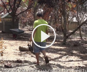 Video: Vùng ven Sài Gòn hoang tàn sau sự cố nổ khí amoniac