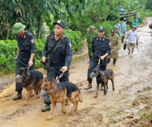 Huy động chó nghiệp vụ tìm 10 người bị vùi lấp ở Hòa Bình