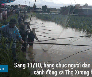 Video: Người dân đổ xô cất vó bắt cá khi nước lũ đổ về