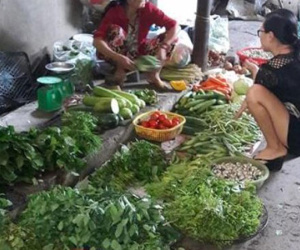 Thanh Hóa: Rau tăng giá gấp đôi vẫn không có hàng để bán