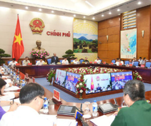 Thủ tướng: "Cây gỗ chứ có phải cây kim đâu mà không biết"