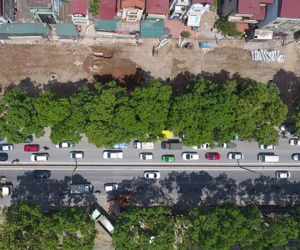 Hà Nội di chuyển, chặt hạ gần 1.300 cây xanh vào ngày mai
