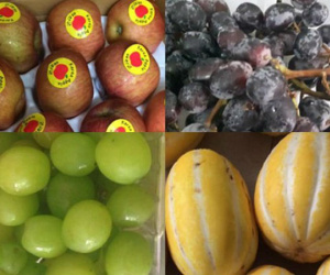 Ăn chảnh hàng ngoại: Tranh mua táo héo, nho rụng, dưa sứt vỏ
