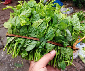 Hà Nội: Bà nội trợ "méo mặt" vì rau xanh khan hiếm, giá tăng gấp đôi sau ngập lụt