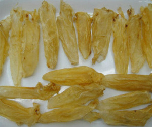 Bong bóng cá sủ vàng 1 tỷ/kg: Đại gia đặt tiền, chờ cả năm trời