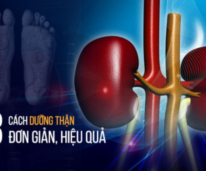 Thận có khỏe thì sức mới bền: 8 cách chăm sóc thận đơn giản bất kỳ ai cũng nên làm