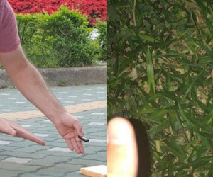 Anh chàng ngoại quốc khoe món 'bánh mì kẹp Trái Đất' nhưng hài hước hơn lại là bình luận của dân mạng Việt