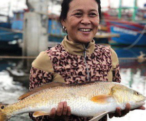 Ngư dân bắt được cặp cá nghi quý hiếm, 1kg bong bong có giá 1 tỷ đồng