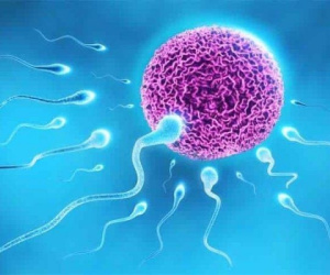 Nam giới tinh trùng yếu có thụ thai và có con tự nhiên được không?