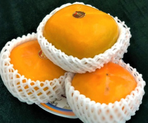 Bị 'hét giá' 400.000 đồng/quả, hồng Nhật Bản vẫn đắt hàng ngày Trung thu
