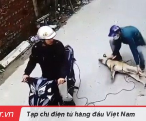 Ảnh minh họa