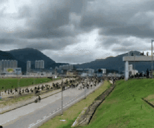 Hong Kong tê liệt: Cảnh sát 3 lần cảnh cáo 'nóng', người biểu tình vẫn tiếp tục phá hoại nhiều tài sản, đốt quốc kỳ
