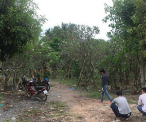 Đi hóng mát, phát hiện người đàn ông treo cổ trên cây bên bờ sông Sài Gòn