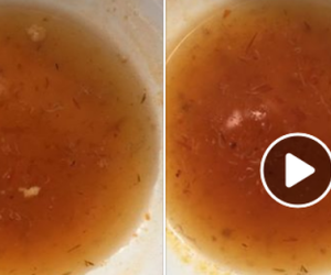 Đang chấm dở miếng xoài, cô gái hoảng hồn phát hiện bát nước mắm ngập giòi đang bò lăn tăn 'gợn sóng'
