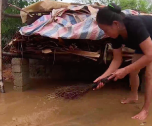 Người dân 'rốn lũ' Hà Tĩnh tất bất dọn dẹp sau khi nước rút: 'Khổ lắm, gà vịt trôi hết cả rồi'