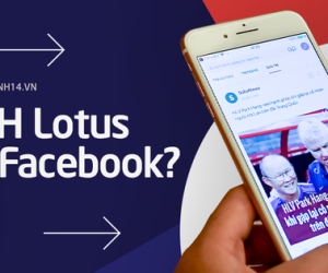 MXH Lotus khác gì Facebook: Không có 'kết bạn', chỉ có 'quan tâm', luôn ưu tiên và thấu hiểu người dùng