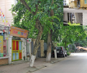 Ảnh minh họa