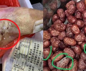 Bị tố cáo nấu thực phẩm thối rữa cho học sinh ăn, trường mẫu giáo chống chế bằng lý do khiến dân tình càng 'sôi máu' hơn