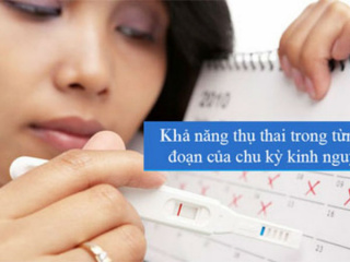 Ảnh bìa bài viết 634458