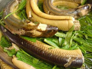 Ảnh bìa bài viết 653066