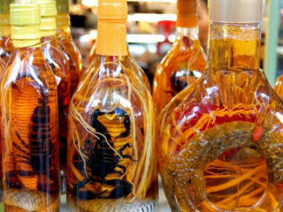 Ảnh bìa bài viết 675400