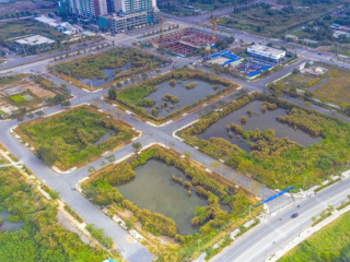 Ảnh bìa bài viết 894983